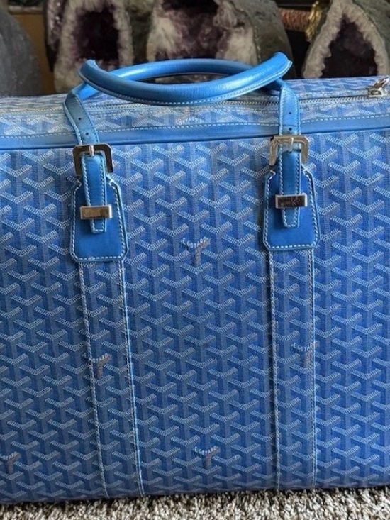 Goyard Handbags - Goyard Blue Patterned Travel Tote